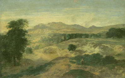 Paysage